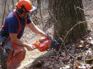 Hinge Cutting Rates