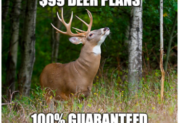 deerplanmeme